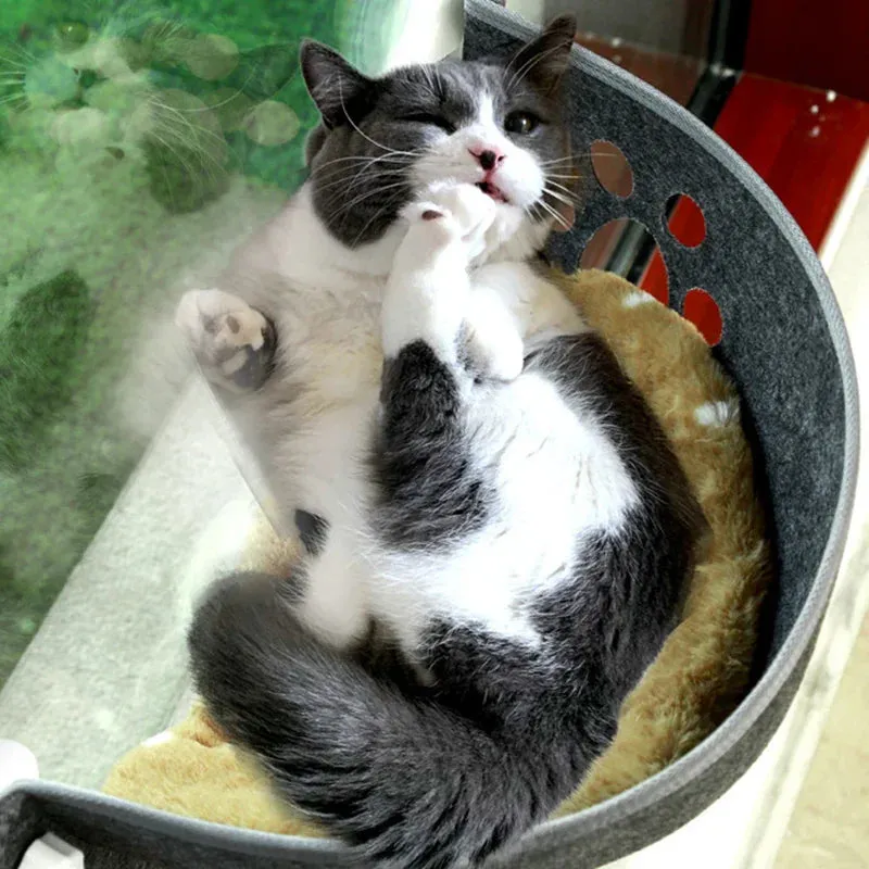 Cat Window Hammock with Strong Suction Cups – Cozy Pet Bed for Cats and Kittens