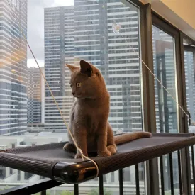 Cat Window Hammock