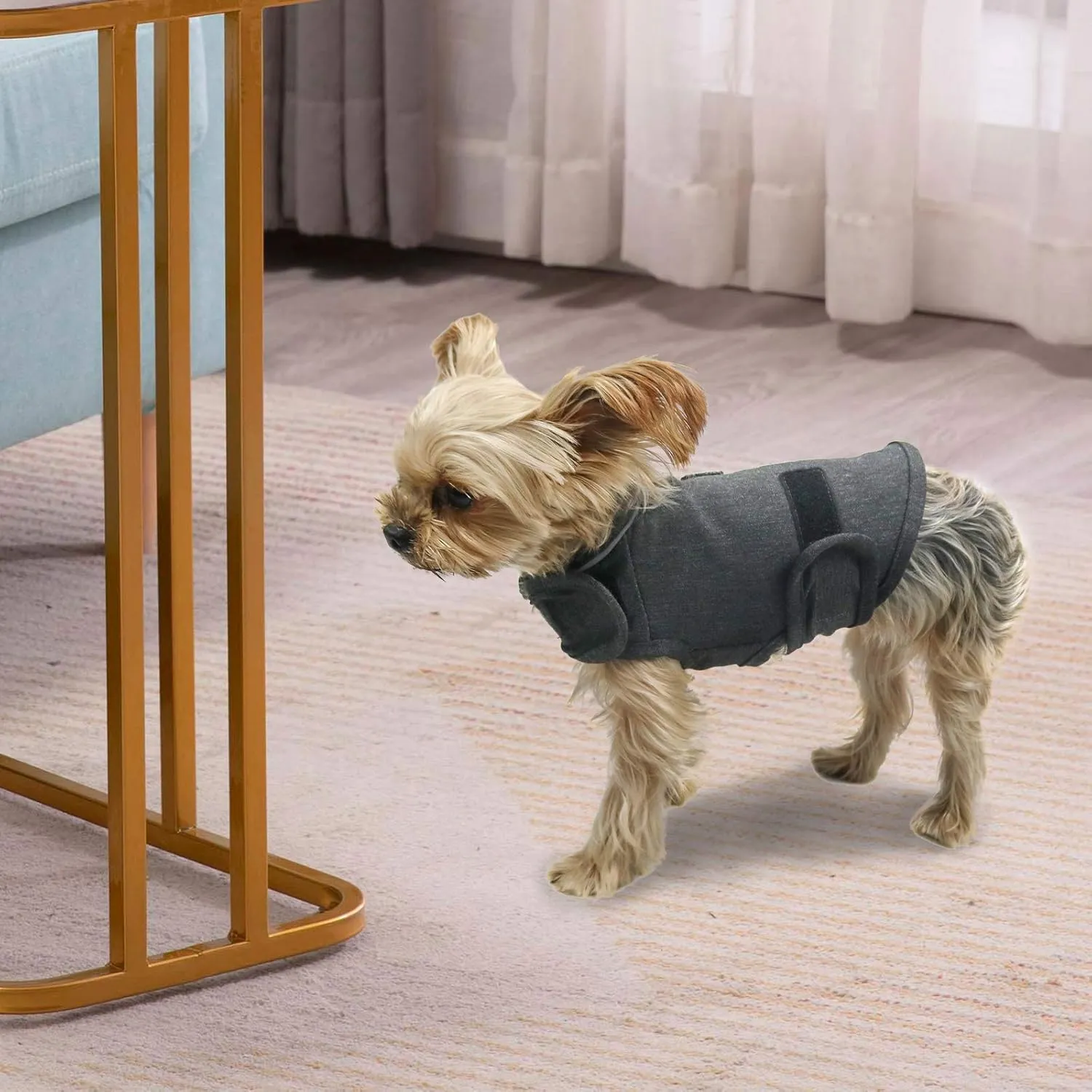 Comfort Dog Anxiety Relief Coat, Dog Anxiety Calming Vest Wrap for Thunderstorm,Travel,4th of July Fireworks,Vet Visits,Separation Anxiety Relief for Dogs (X-Small (Pack of 1), Gray)