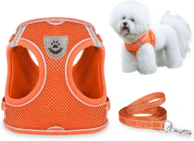 Dog Harness and Leash Set for Walking, Escape Proof Vest Harness with Soft Mesh, Adjustable Strap, Reflective Strips for Kitten Cats and Puppy Dogs