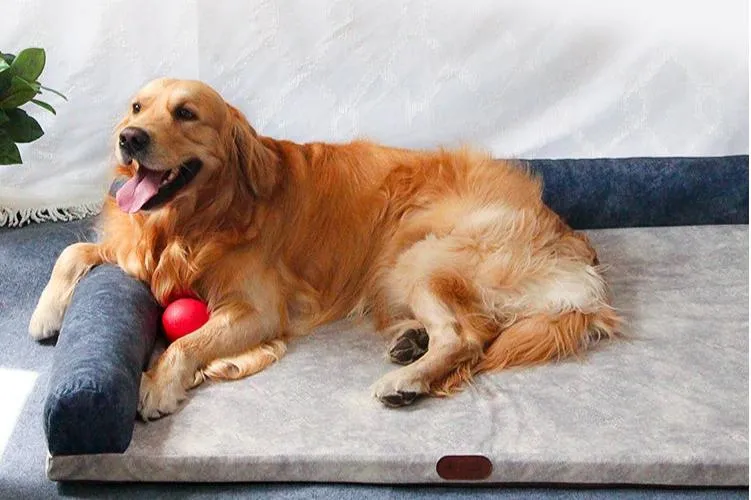 Dog Sofa Bed for Larger Breeds: Comfort and Support for Your Canine Companion