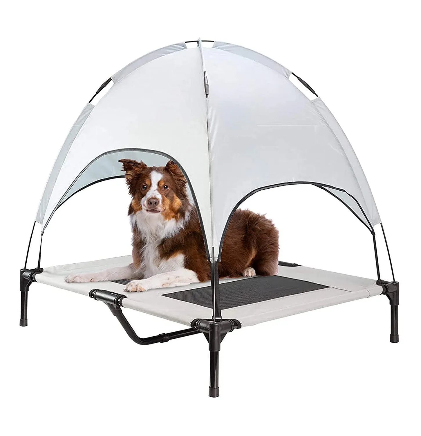 Elevated Outdoor Dog Bed with Canopy-L