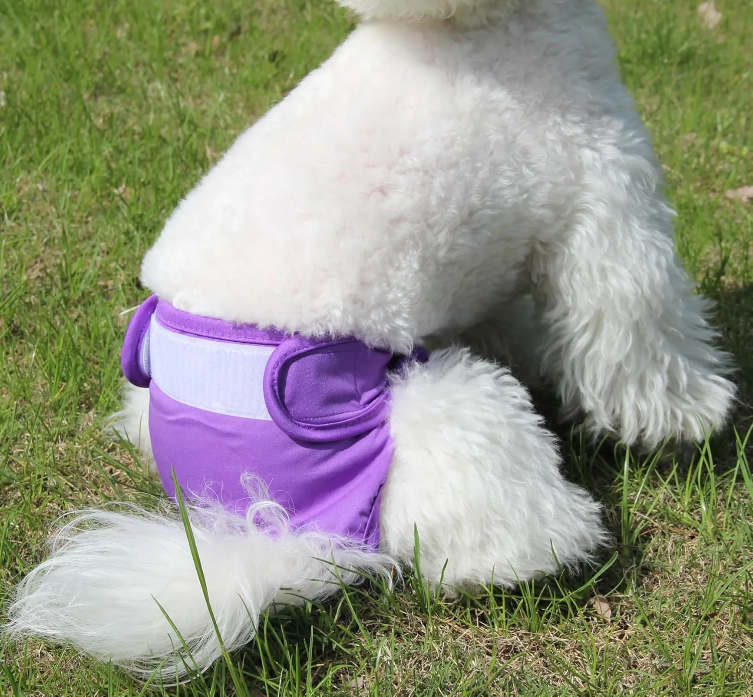 Female Dog Diapers for Large Dogs,4 Pack Reusable Washable Premium Doggie Diapers for Heat,Incontinence,Period Doggy Nappies,XL