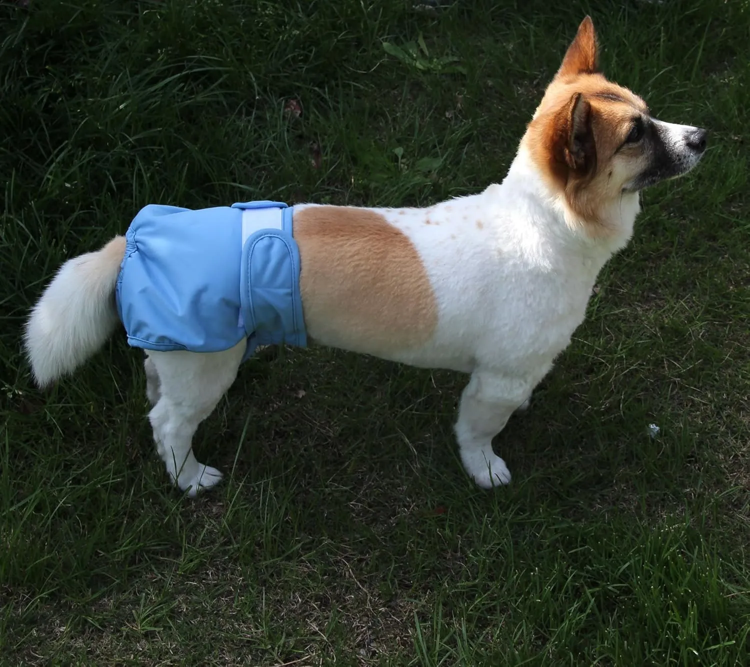 Female Dog Diapers for Large Dogs,4 Pack Reusable Washable Premium Doggie Diapers for Heat,Incontinence,Period Doggy Nappies,XL