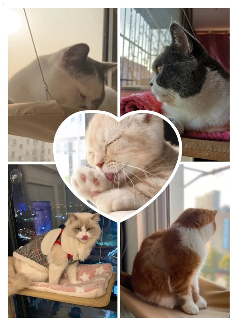 Hanging Hammock Bed for Cats