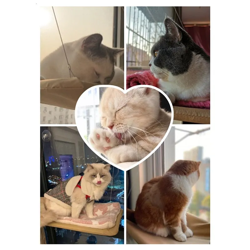 Hanging Hammock Bed for Cats