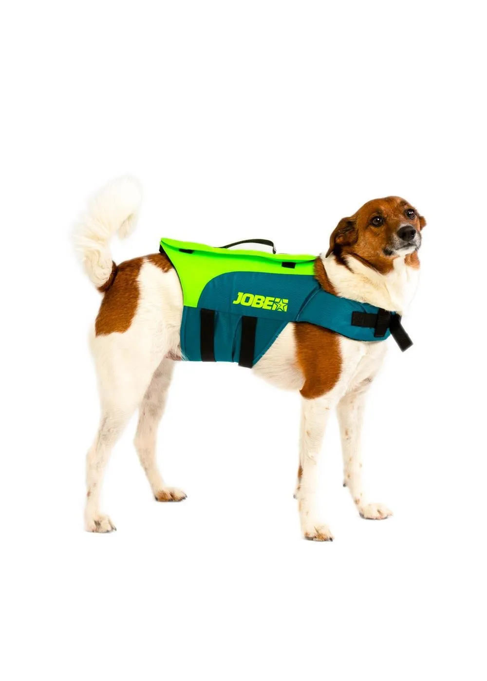 Jobe Dog Life Jacket Lime Teal