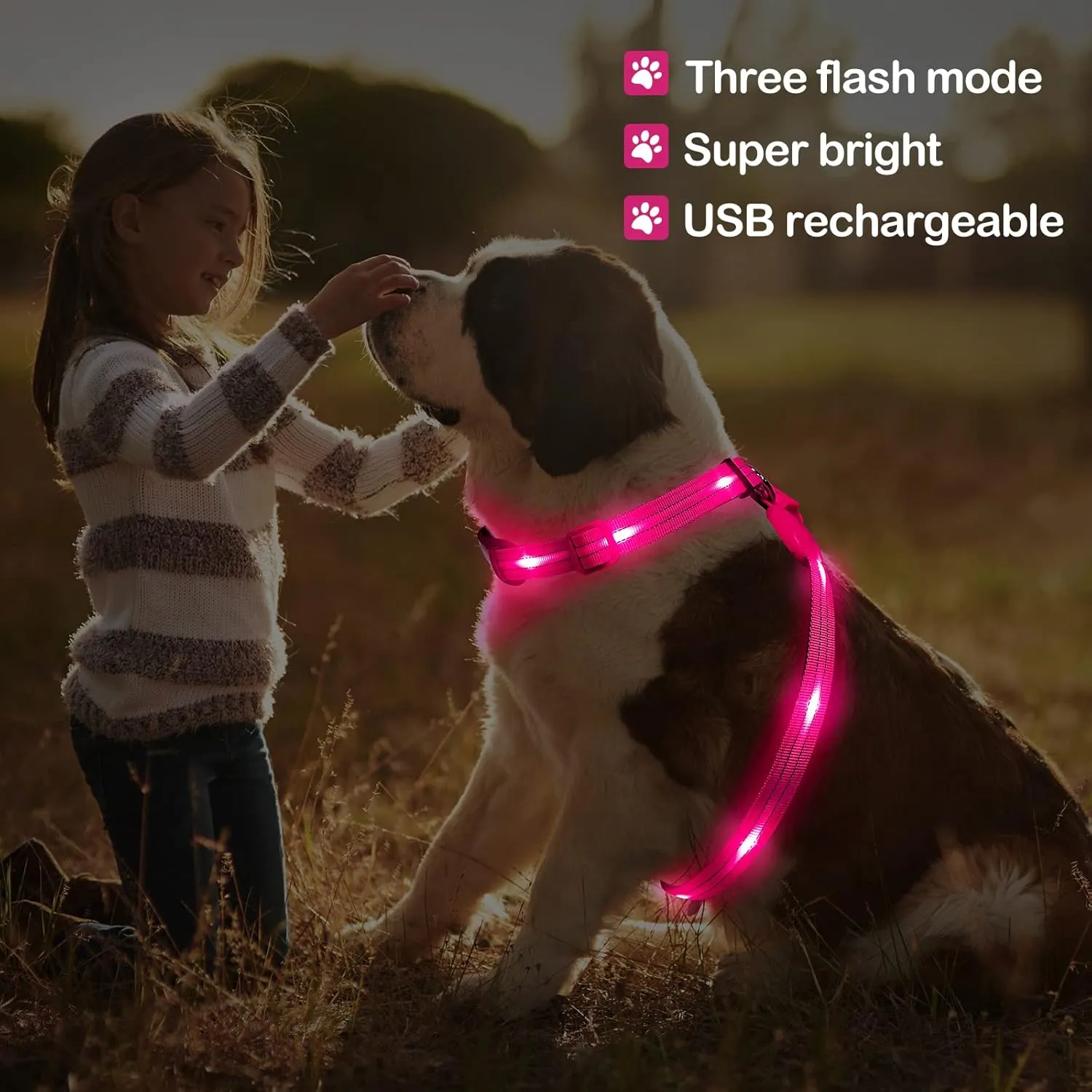 Light Up Dog Harness, LED Dog Vest Glow in The Dark, Reflective, Pink