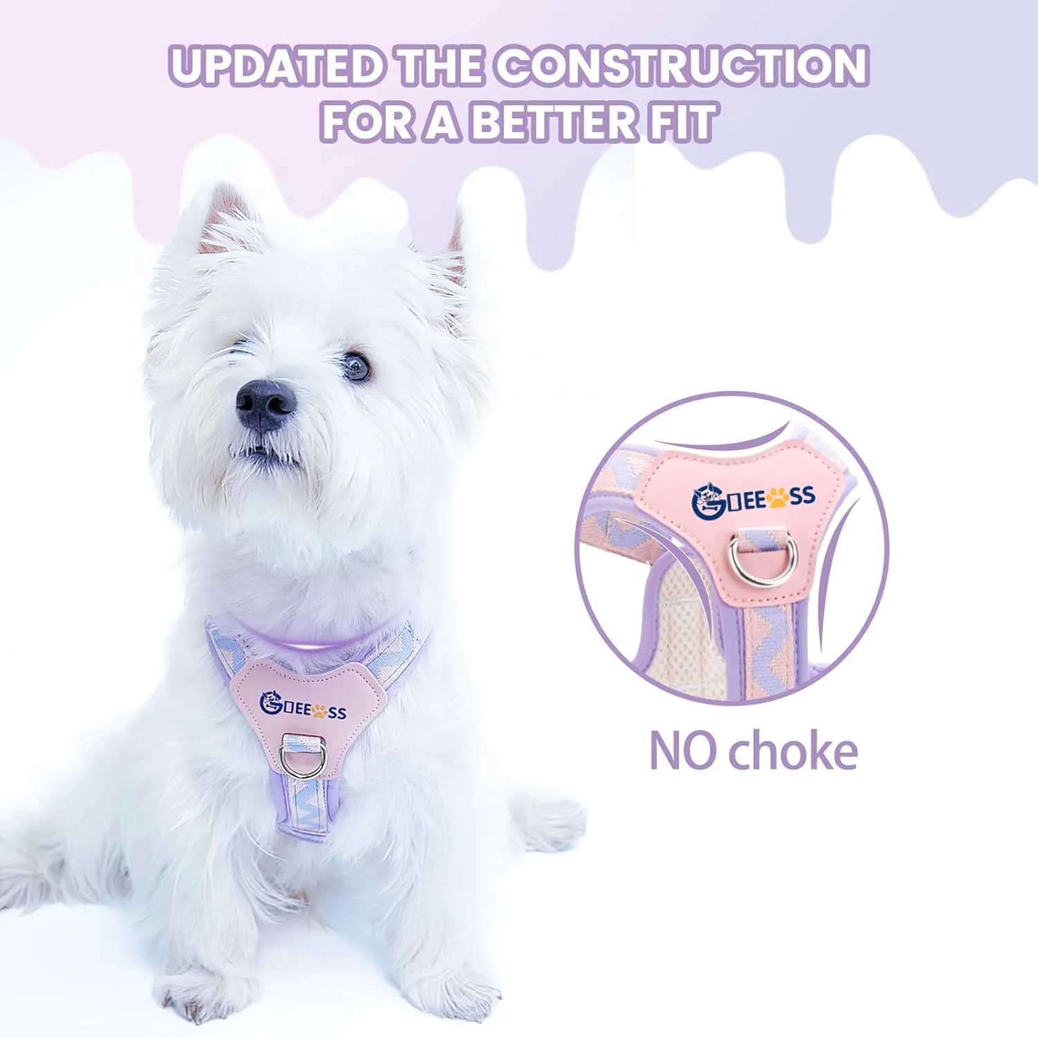 No Pull Dog Harness and Leash Set, Lightweight Frame No Choke Pet Harness, Double Buckle Adjustable Dog Vest for Small Medium Dogs Puppy (Black, M)