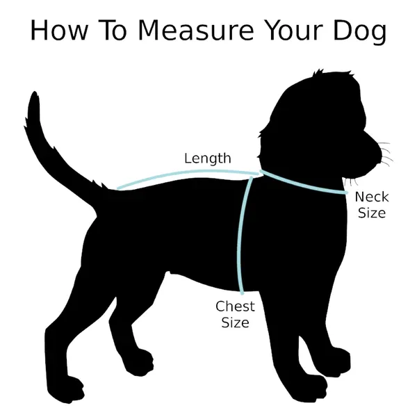 Pat and Pet Emporium | Pet Grooming Products | Dog Hammock