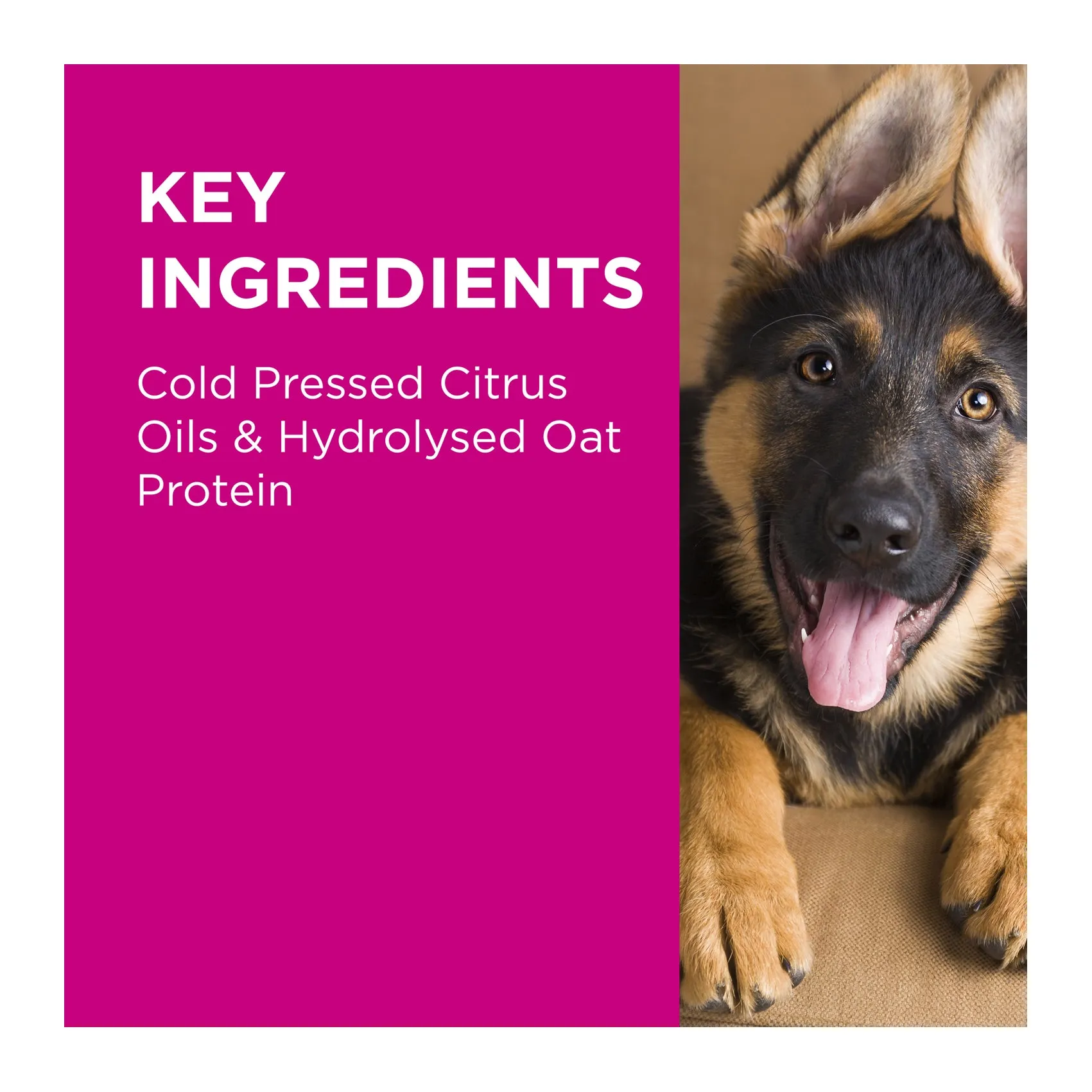 PAW by Blackmores Gentle Dog & Cat Ear Cleaner 120mL