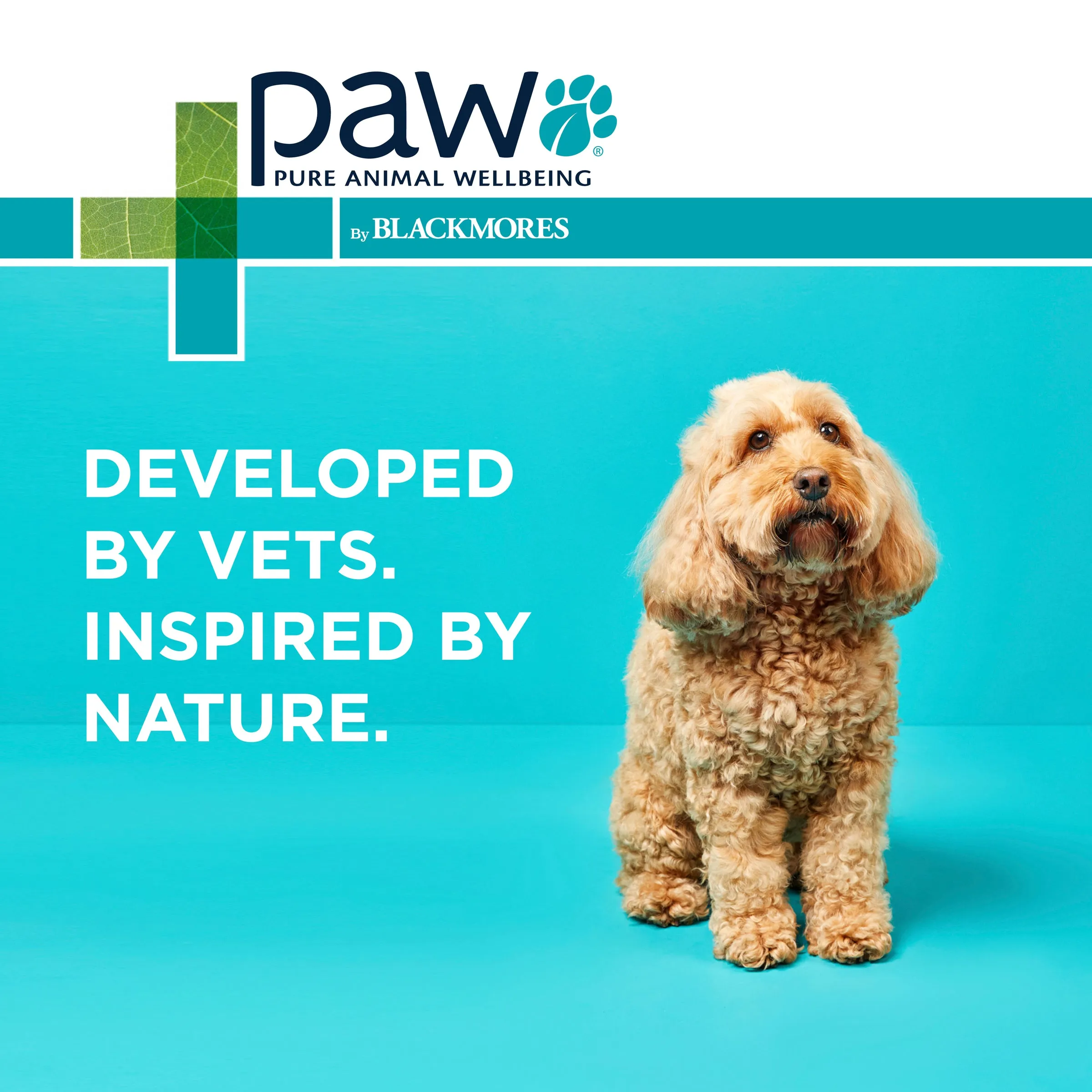 PAW - Gentle Ear Cleaner for Dogs and Cats (120ml)