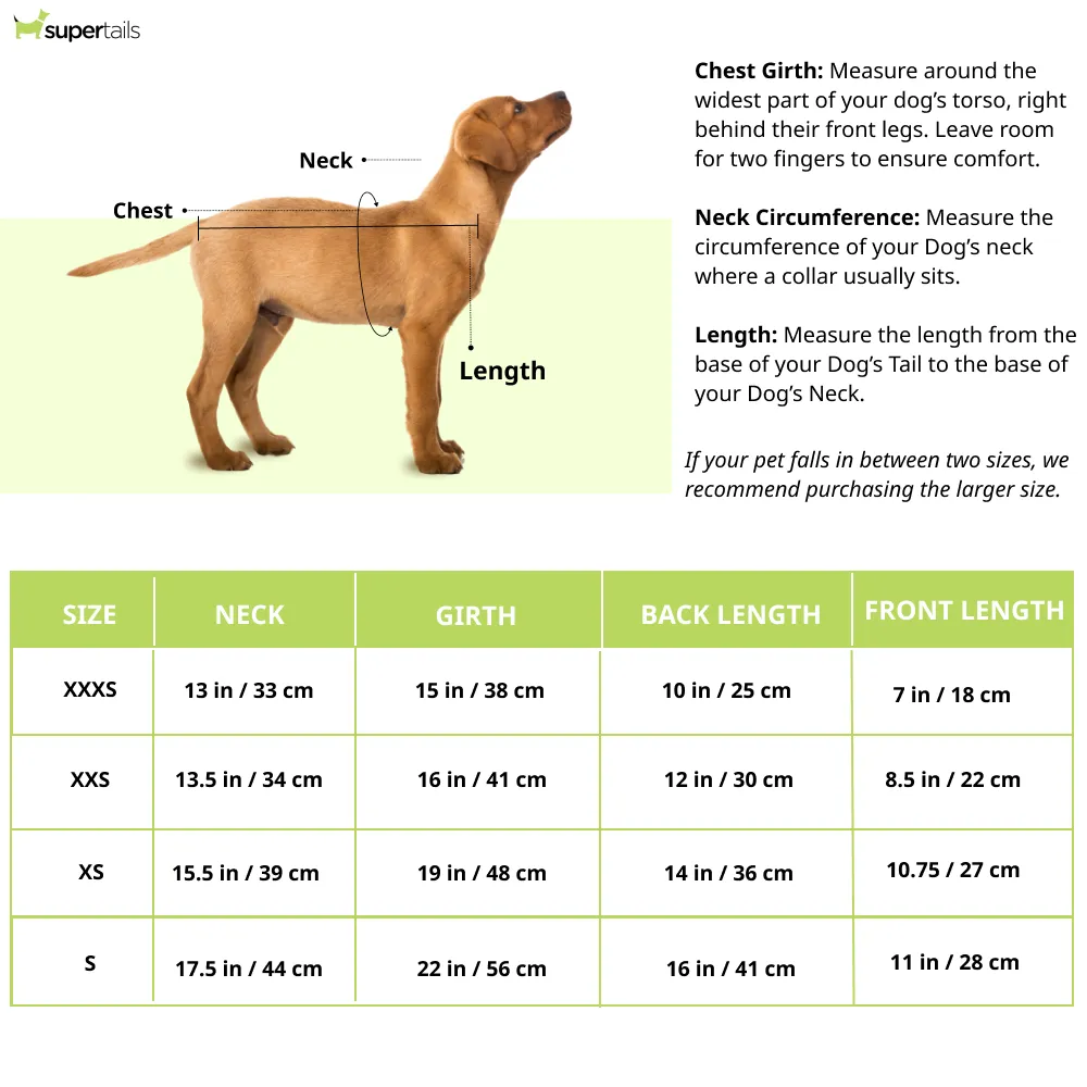 Pawpourri Reflexive Jacket for Dogs (Grey)