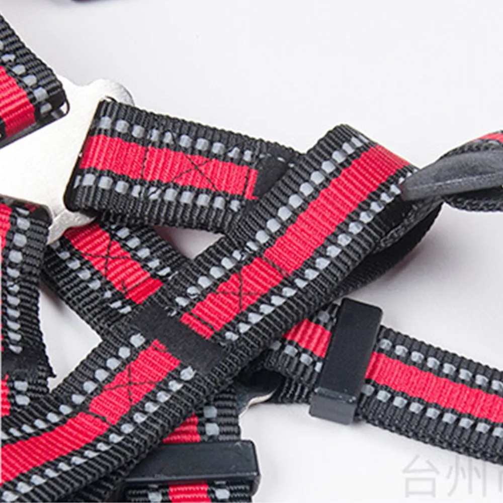 PAWS ASIA Factory Custom Adjustable Polyester Harness Reflective Set Dog Leash