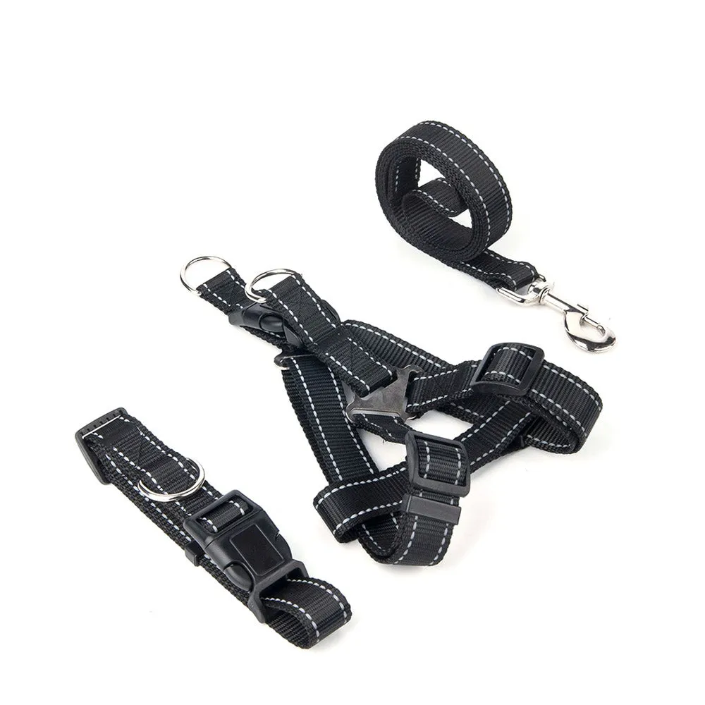 PAWS ASIA Factory Custom Adjustable Polyester Harness Reflective Set Dog Leash