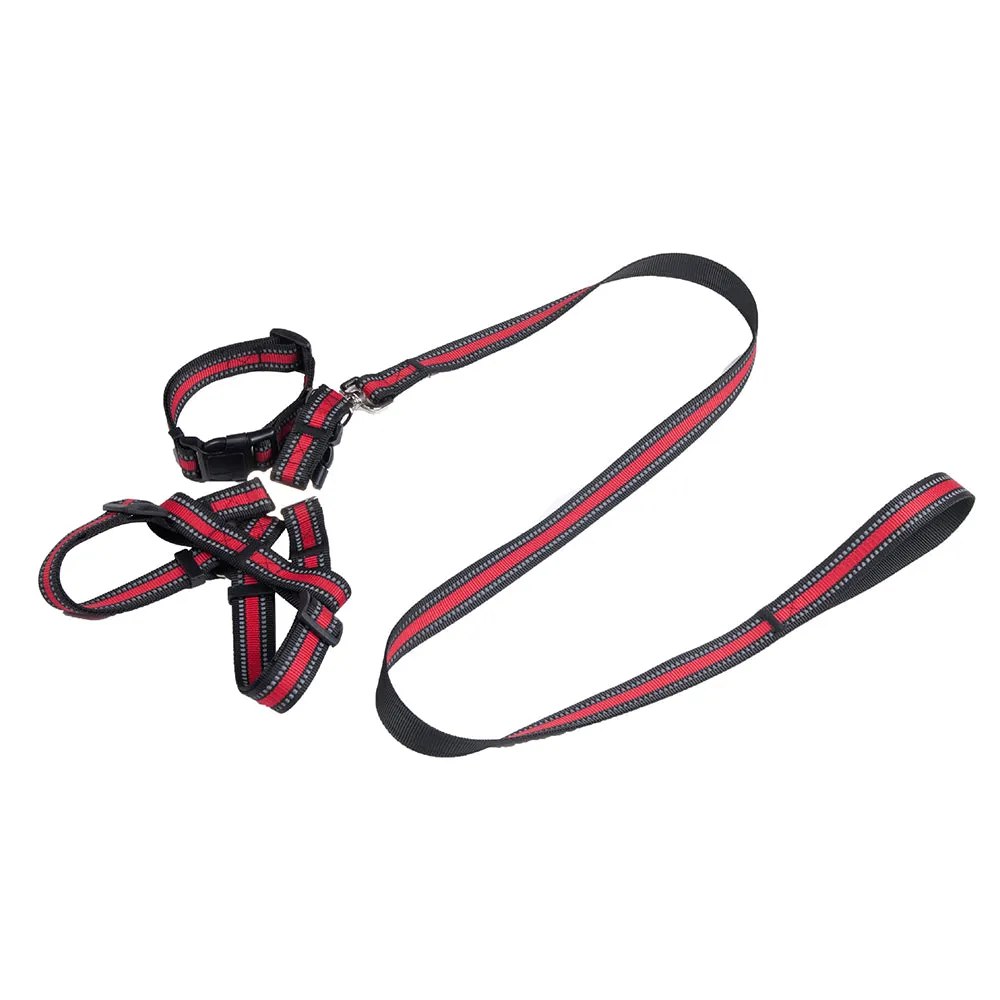 PAWS ASIA Factory Custom Adjustable Polyester Harness Reflective Set Dog Leash