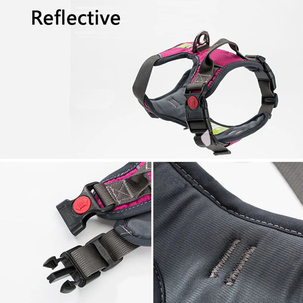 PAWS ASIA Factory Pet Comfort Vest Nylon Training Adjustable Reflective Heavy Duty Large Dog Harness