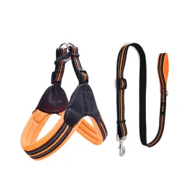 PAWS ASIA Factory Reflective Breathable Mesh Tough Tactical Dog Harness Set