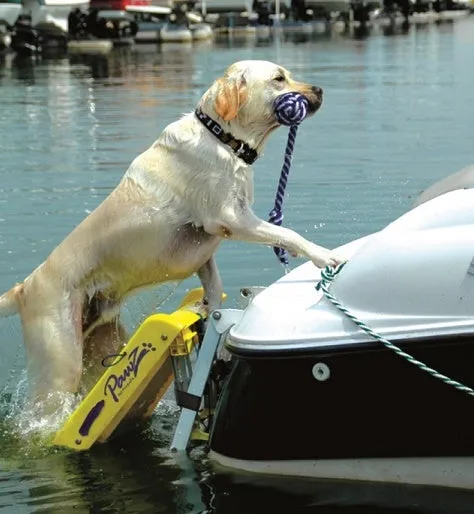 Pawz Pet Products Dog Boat Ladder