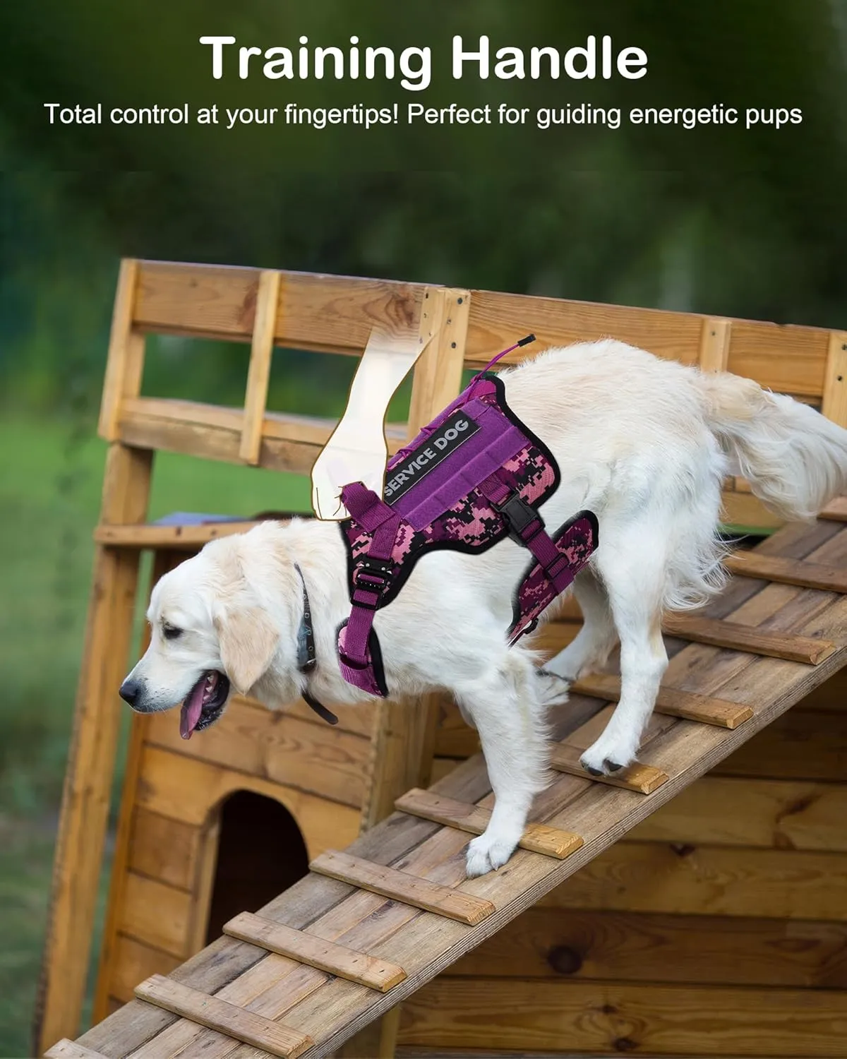 PETNANNY Tactical Dog Harness - Service Dog Harness Emotional Support Dog Vest for Medium Large Dogs, No Pull ESA Dog Vest with Hook & Loop, Working Molle Vest for Training Hunting(Desert Camo,L)