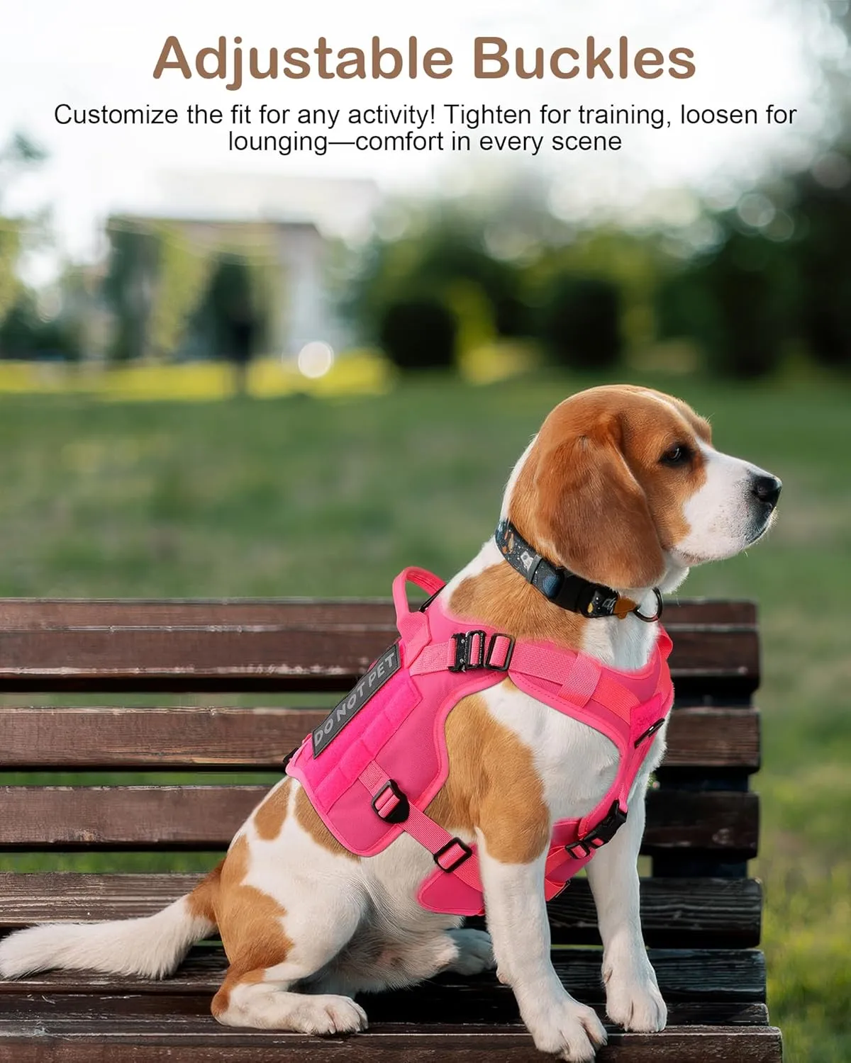 PETNANNY Tactical Dog Harness - Service Dog Harness Emotional Support Dog Vest for Medium Large Dogs, No Pull ESA Dog Vest with Hook & Loop, Working Molle Vest for Training Hunting(Desert Camo,L)