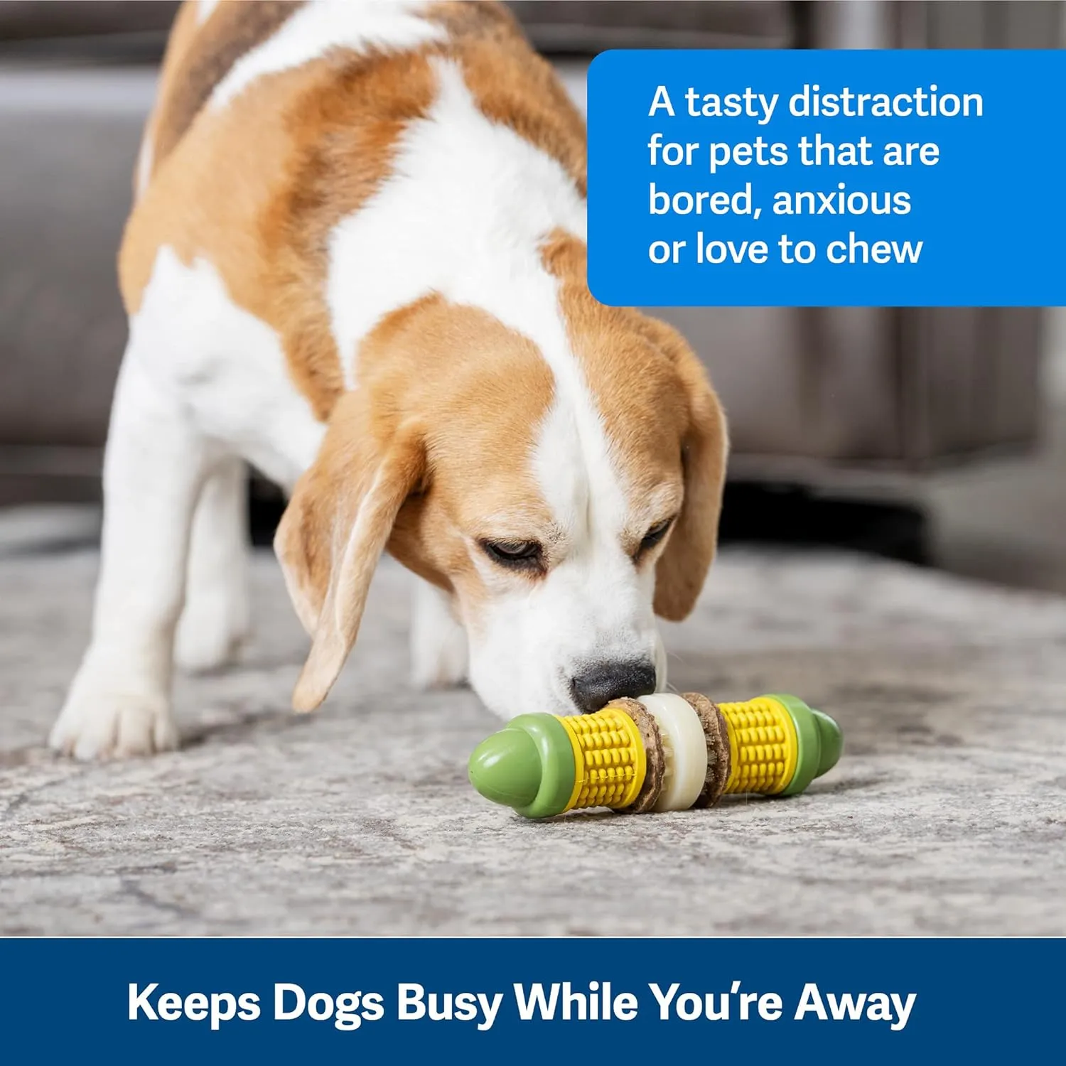 PetSafe Busy Buddy Cravin Corncob Dog Toys  Treat Ring Holding Chew Toy  BPA Free Rubber  Butter Scented  Interactive Pet Puzzle for Boredom or Separation Anxiety  Small to Large Dogs