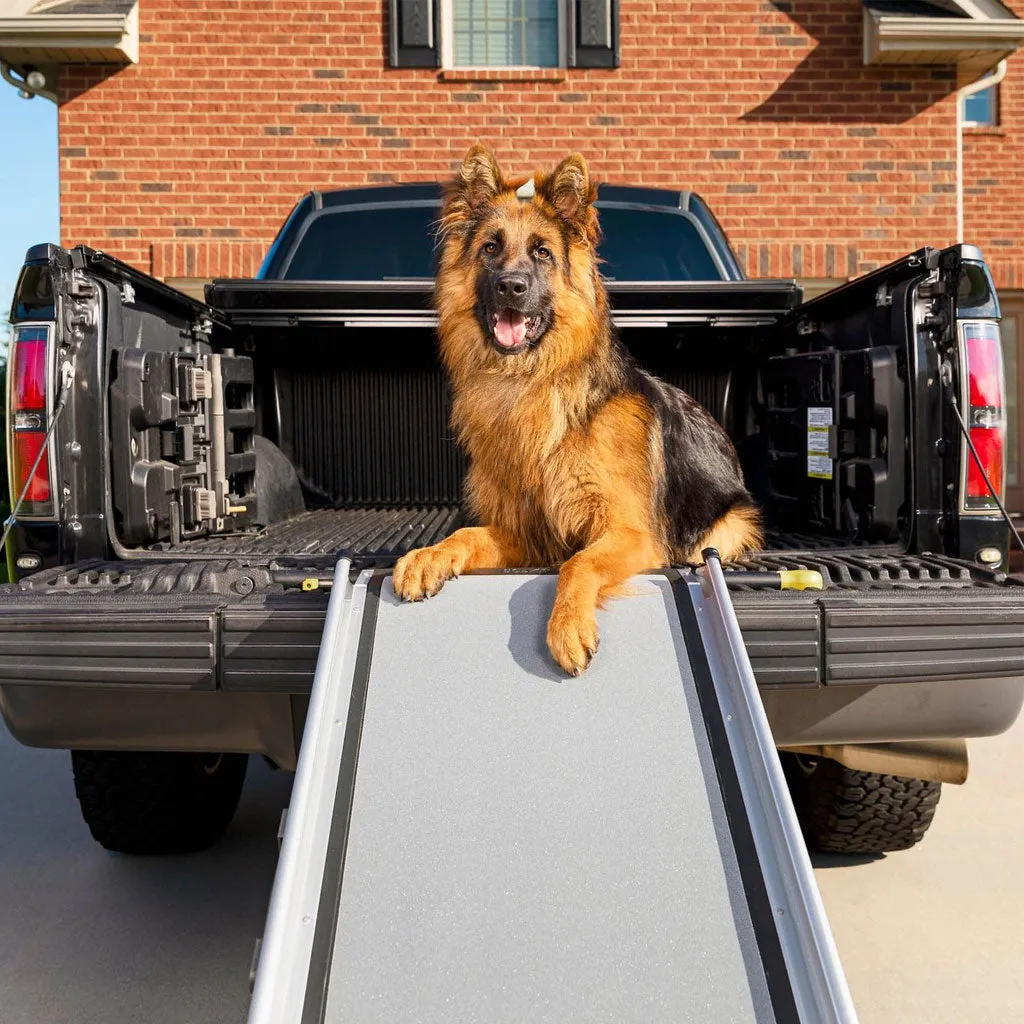 PetSafe Happy Ride Telescoping Dog Car Ramp, Grey, X-Large