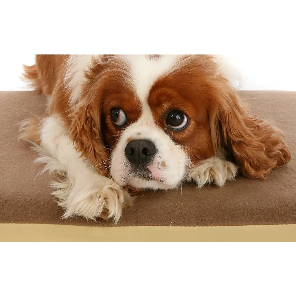 Posture Pal Orthopaedic Bedding 36x24in 