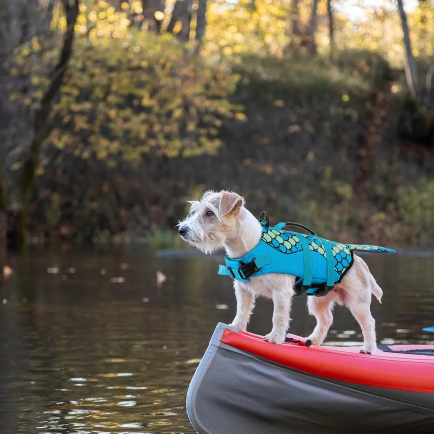 Queenmore Mermaid Dog Life Jacket, Dog Life Vest for Swimming, Dog Floating Vest, Lightweight Dog Swimming Vest, High Buoyant Dog Life Jackets for Small, Medium, Large Dogs (Blue,L)