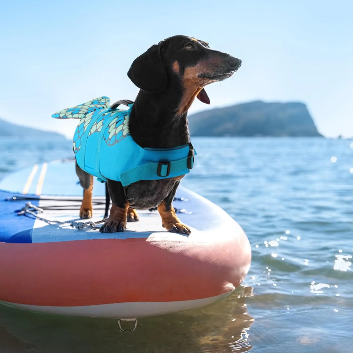 Queenmore Mermaid Dog Life Jacket, Dog Life Vest for Swimming, Dog Floating Vest, Lightweight Dog Swimming Vest, High Buoyant Dog Life Jackets for Small, Medium, Large Dogs (Blue,L)