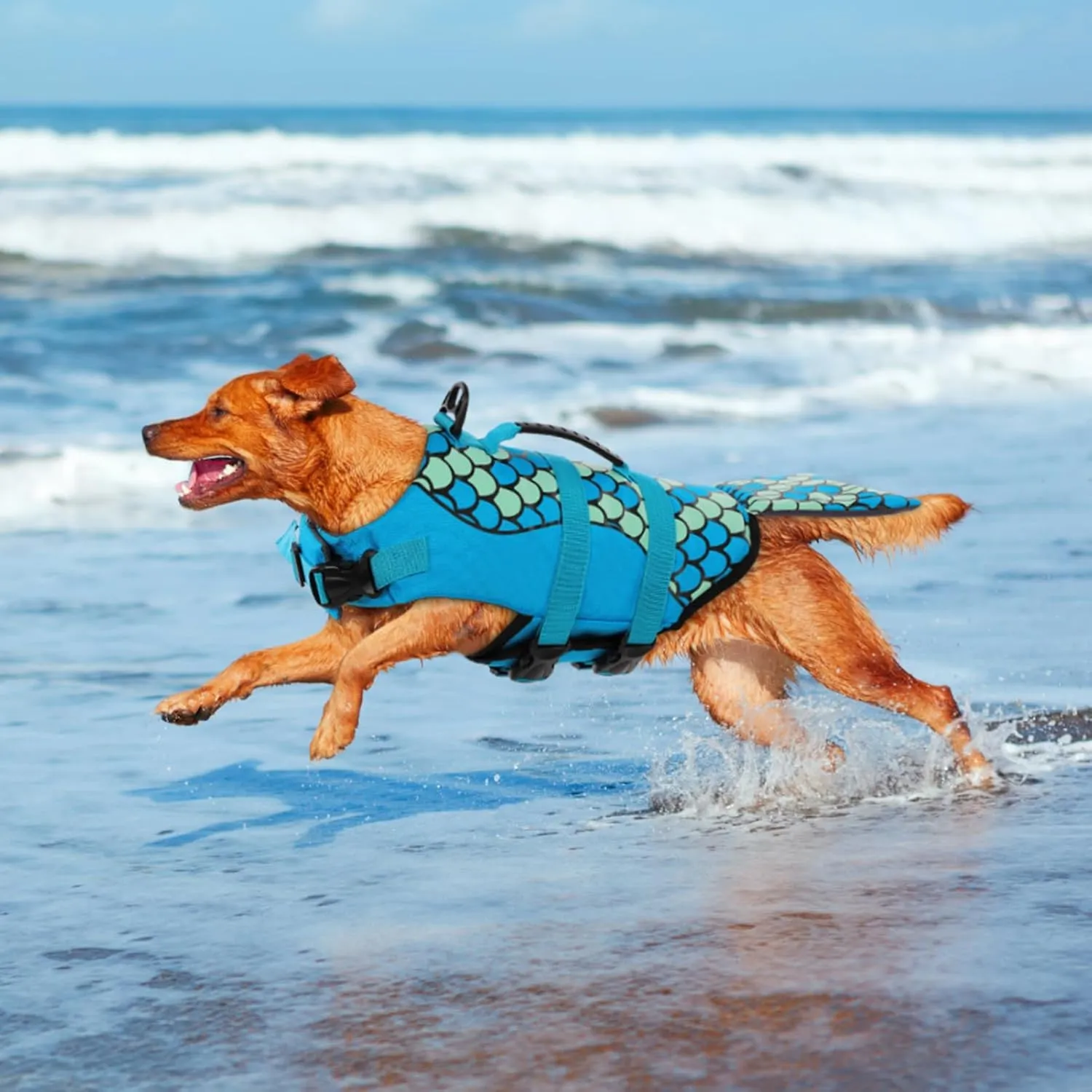 Queenmore Mermaid Dog Life Jacket, Dog Life Vest for Swimming, Dog Floating Vest, Lightweight Dog Swimming Vest, High Buoyant Dog Life Jackets for Small, Medium, Large Dogs (Blue,L)