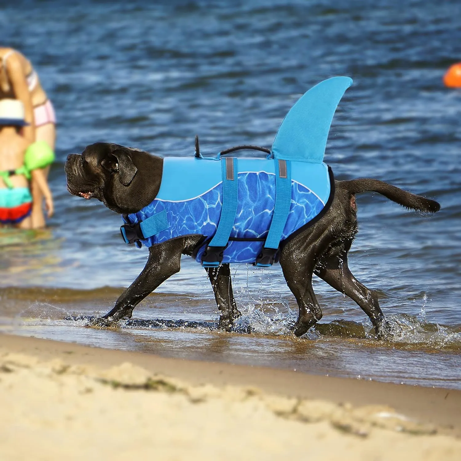 Queenmore Shark Dog Life Jacket for Swimming, High Buoyant Adjustable Vest for Dogs (Blue, L)