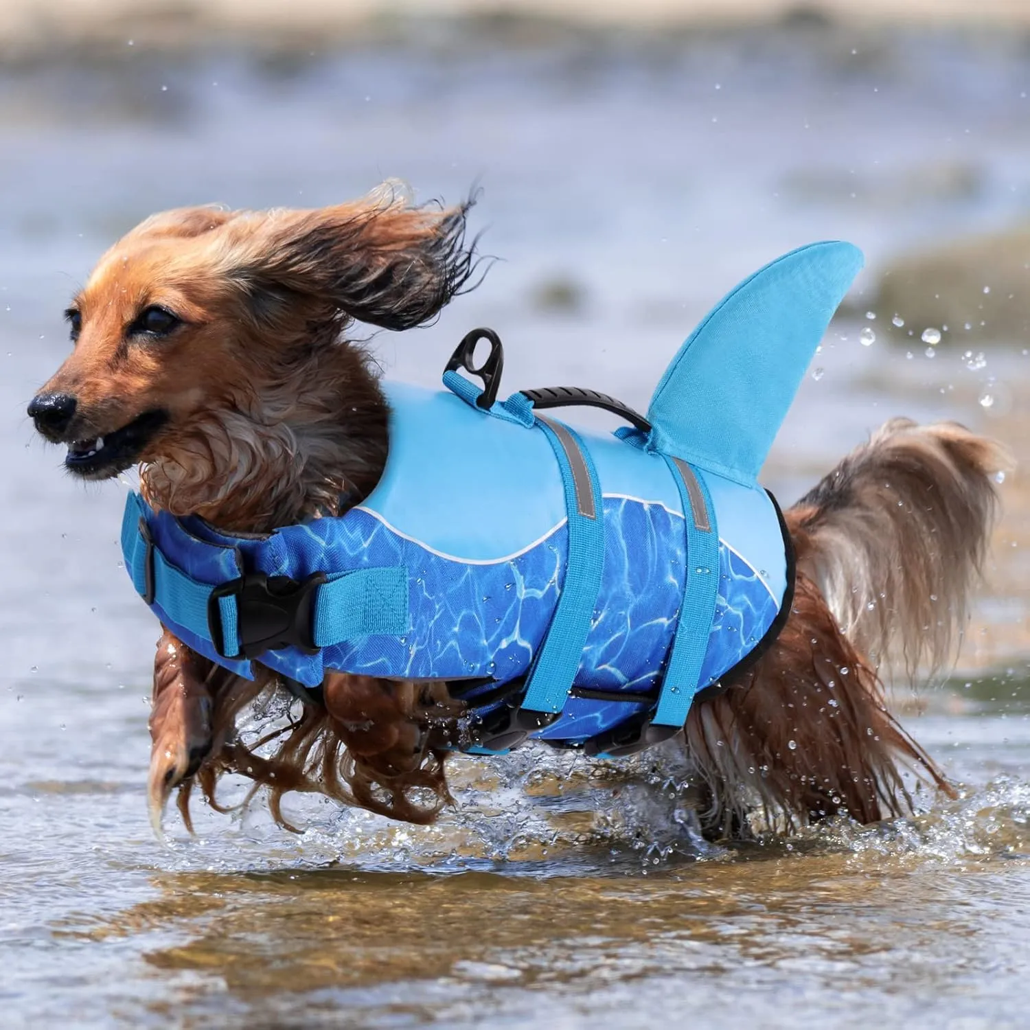 Queenmore Shark Dog Life Jacket for Swimming, High Buoyant Adjustable Vest for Dogs (Blue, L)