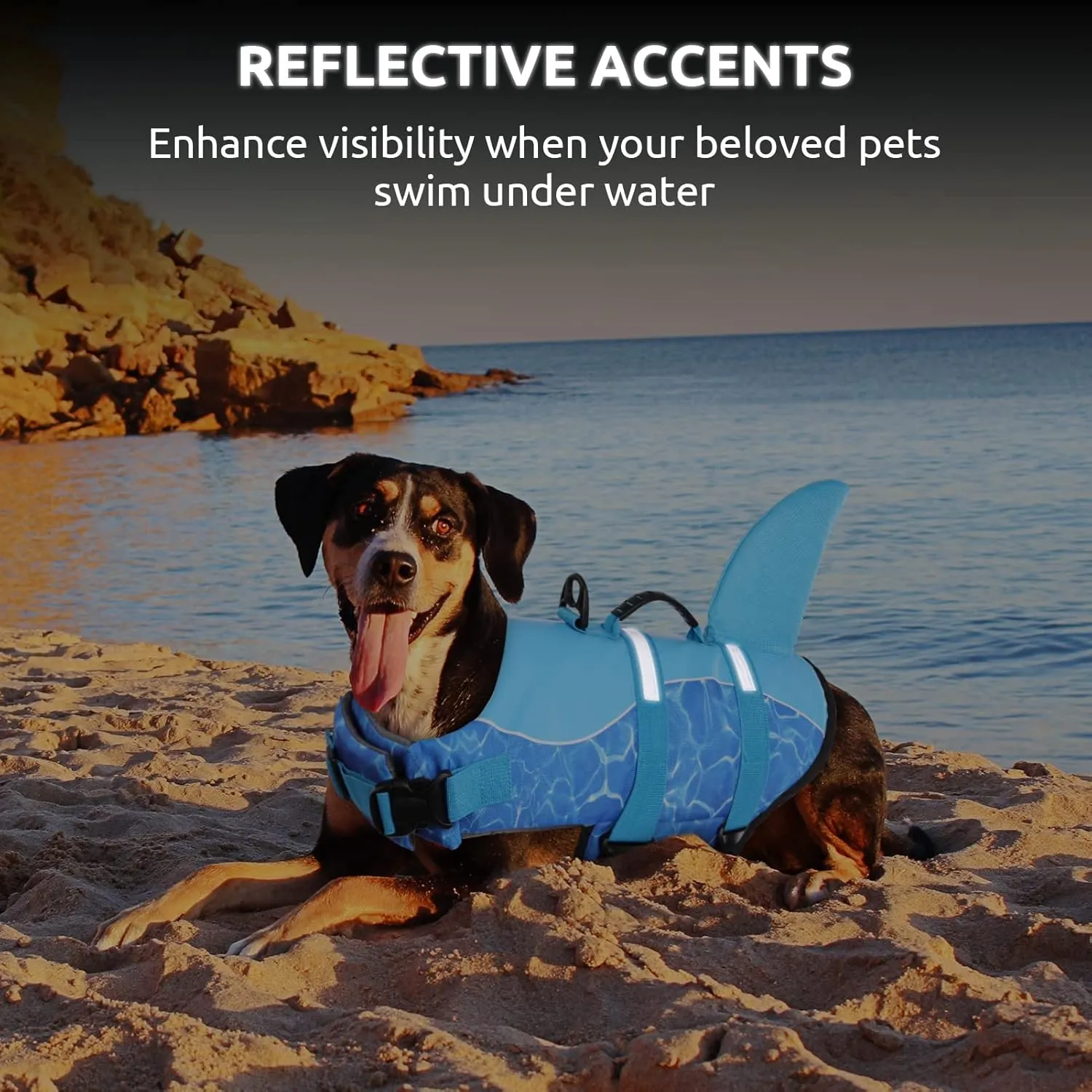 Queenmore Shark Dog Life Jacket for Swimming, High Buoyant Adjustable Vest for Dogs (Blue, L)