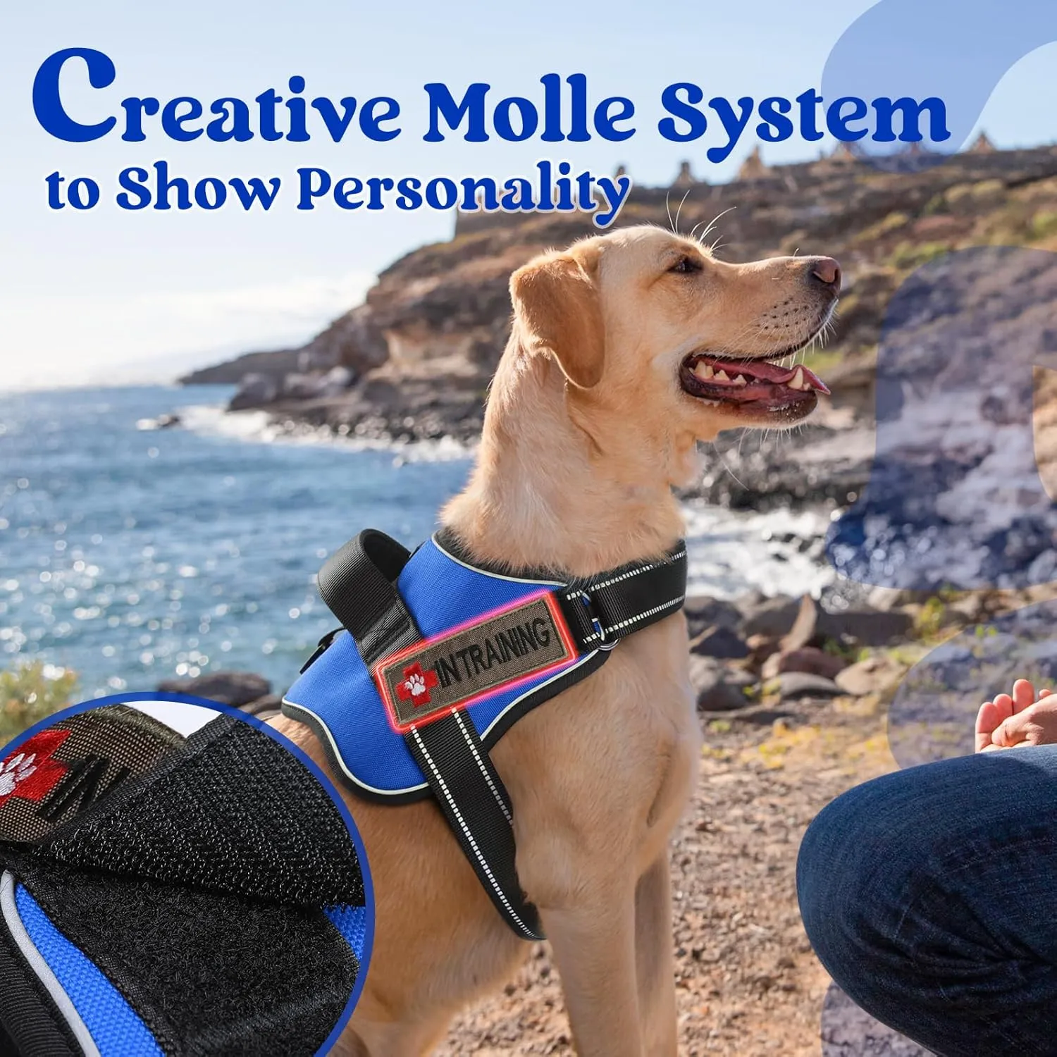 rabbitgoo Dog Harness for Large Dogs, No Pull No Choke Pet Vest, Easy Wearing with One Buckle, Reflective, Adjustable Pet Harness with Molle for Walking, Training, Blue, L