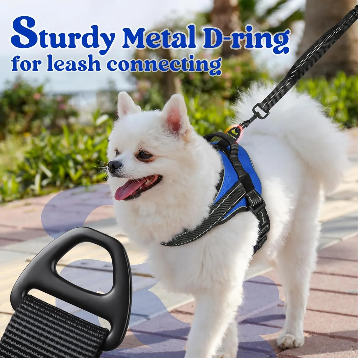 rabbitgoo Dog Harness for Large Dogs, No Pull No Choke Pet Vest, Easy Wearing with One Buckle, Reflective, Adjustable Pet Harness with Molle for Walking, Training, Blue, L