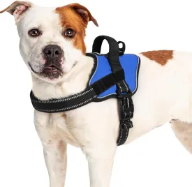 rabbitgoo Dog Harness for Large Dogs, No Pull No Choke Pet Vest, Easy Wearing with One Buckle, Reflective, Adjustable Pet Harness with Molle for Walking, Training, Blue, L