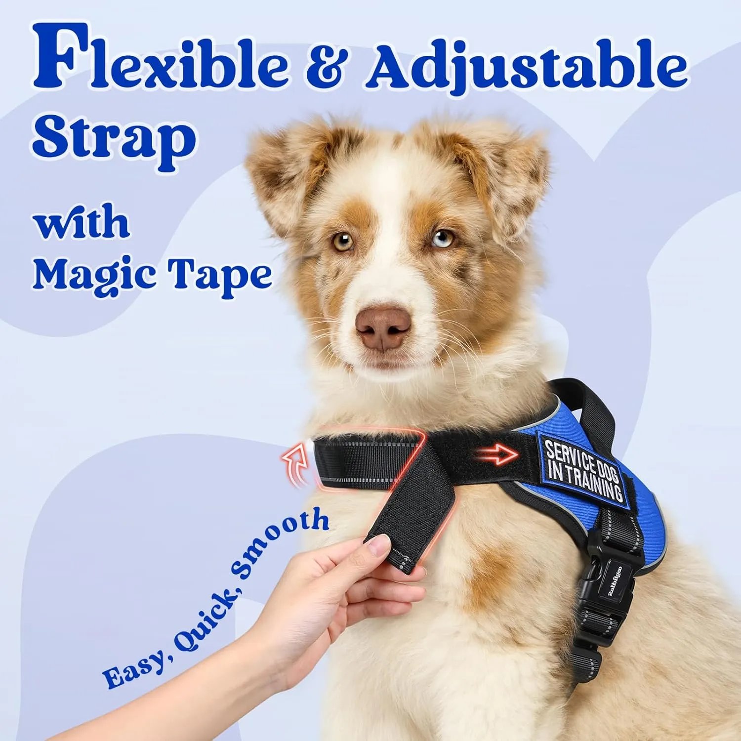 rabbitgoo Dog Harness for Large Dogs, No Pull No Choke Pet Vest, Easy Wearing with One Buckle, Reflective, Adjustable Pet Harness with Molle for Walking, Training, Blue, L
