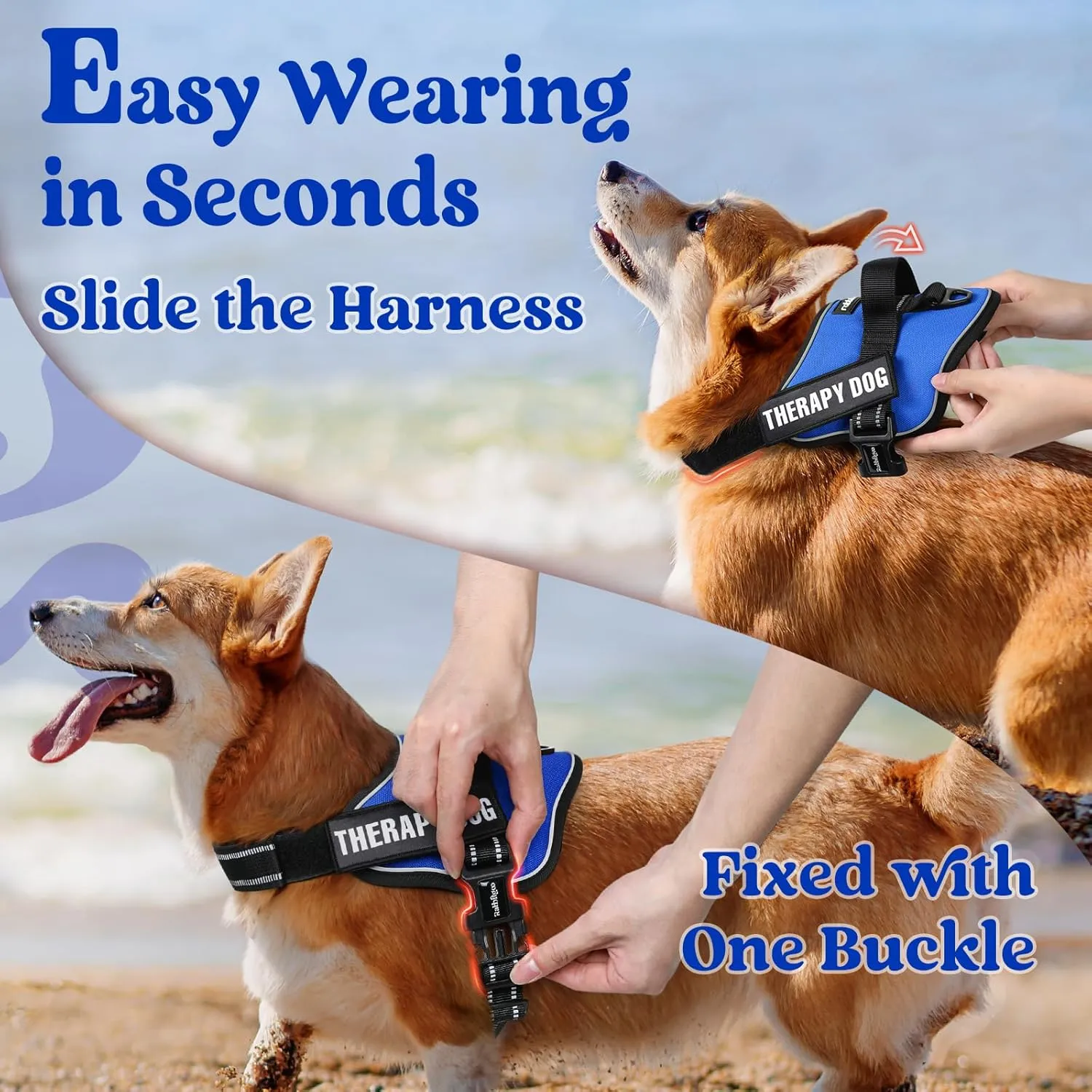 rabbitgoo Dog Harness for Large Dogs, No Pull No Choke Pet Vest, Easy Wearing with One Buckle, Reflective, Adjustable Pet Harness with Molle for Walking, Training, Blue, L