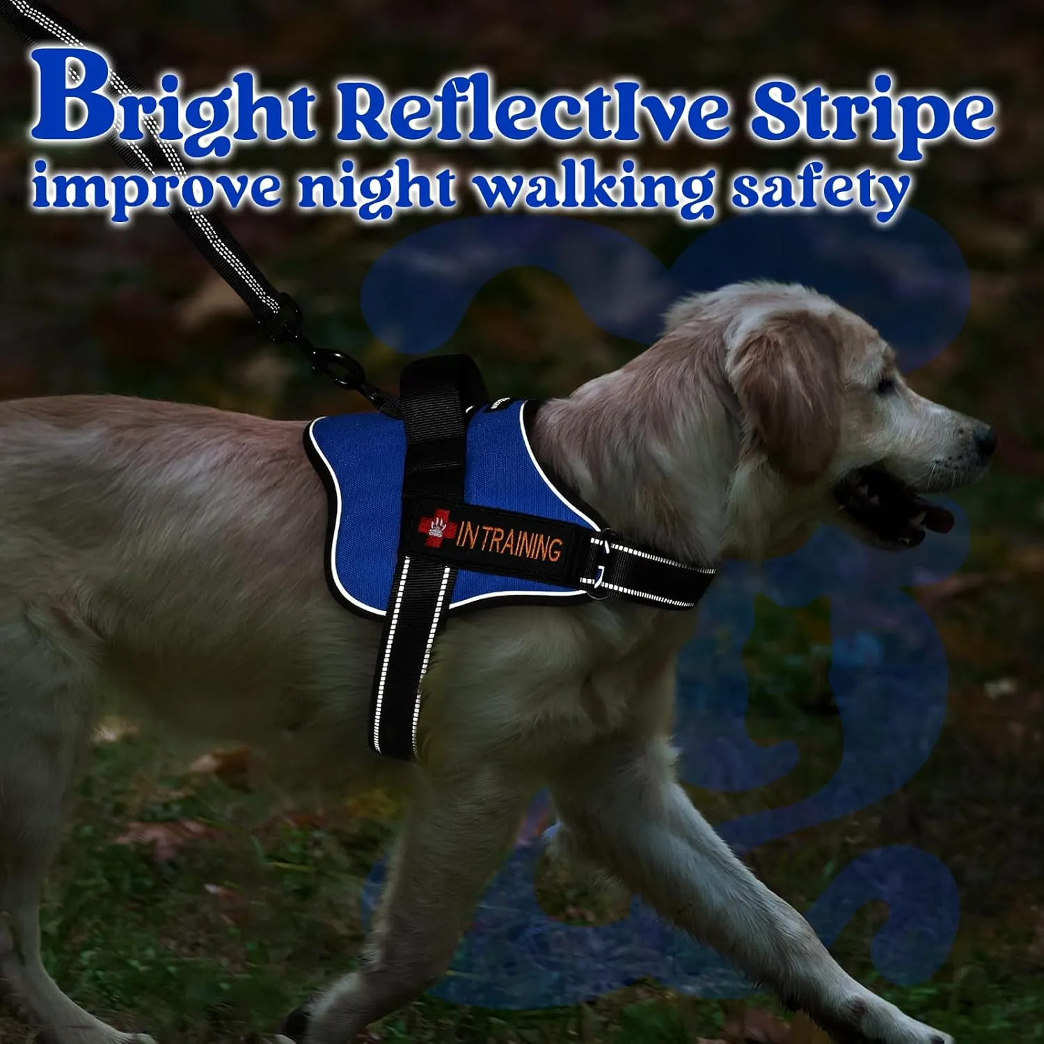 rabbitgoo Dog Harness for Large Dogs, No Pull No Choke Pet Vest, Easy Wearing with One Buckle, Reflective, Adjustable Pet Harness with Molle for Walking, Training, Blue, L