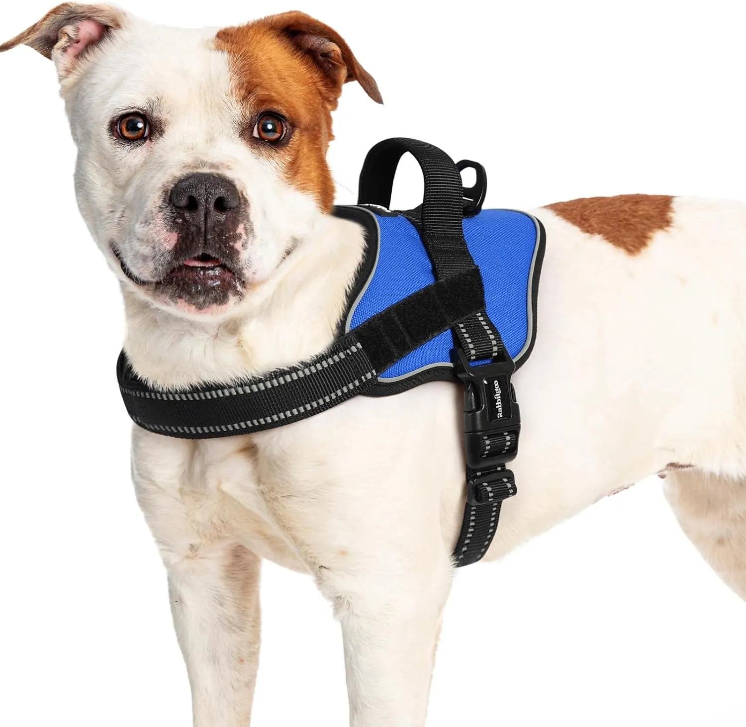 rabbitgoo Dog Harness for Large Dogs, No Pull No Choke Pet Vest, Easy Wearing with One Buckle, Reflective, Adjustable Pet Harness with Molle for Walking, Training, Blue, L