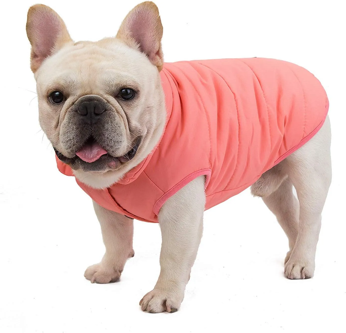 SMALLLEE_LUCKY_STORE Pet Fleece Lined Bomber Vest Jacket Down Coat for Bulldog Fat Dogs Winter Warm French Bulldog Clothes,Watermelon Red Size XL