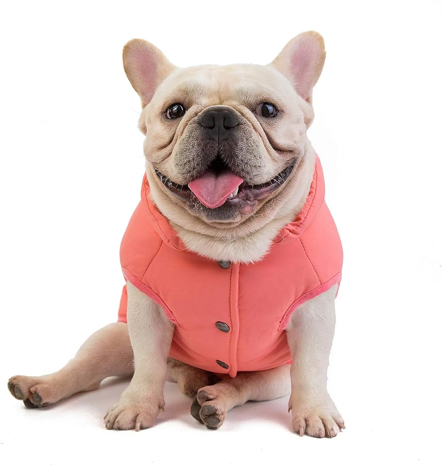 SMALLLEE_LUCKY_STORE Pet Fleece Lined Bomber Vest Jacket Down Coat for Bulldog Fat Dogs Winter Warm French Bulldog Clothes,Watermelon Red Size XL
