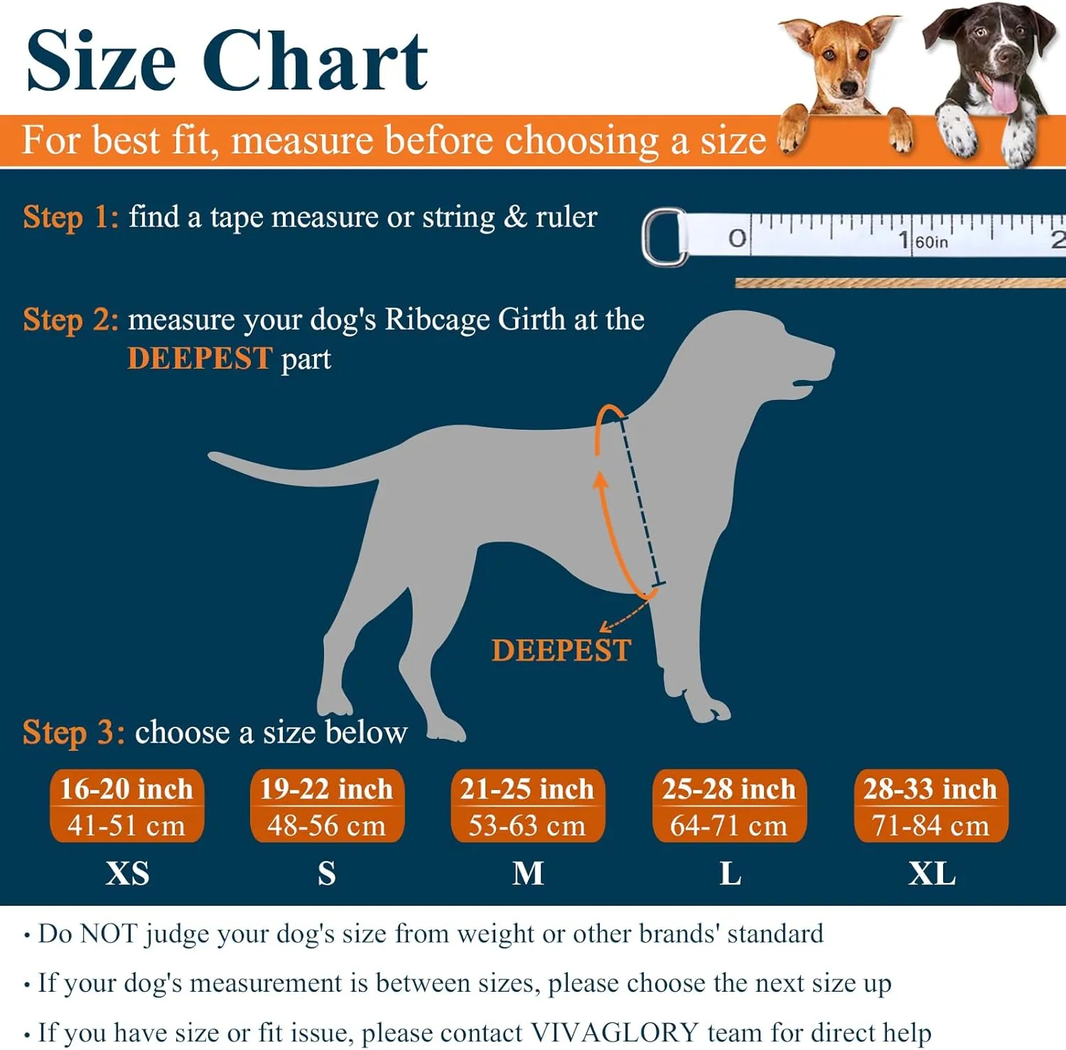 VIVAGLORY Lightweight Dog Life Jacket, Pet Life Preserver Life Vest Skin-Friendly Neoprene for Small Dogs with D-Ring and Quick Release Buckle, Turquoise