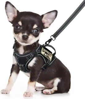 XSmall Tactical Dog Harness and Leash, Military K9 Puppy Vest Harness, No Pull Outdoor Training XS Dog Harness with Handle (XSmall, Black Leash)