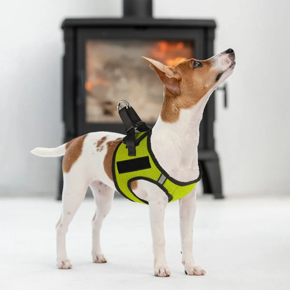 York Mesh Harness   Built-in Hook & Loop Fasteners